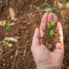 Produttori di Terra Madre