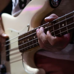Band live di Joe Bonamassa