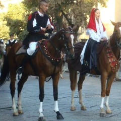 Cavalieri e amazzoni