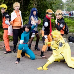 Cosplayer e community