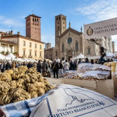 Tartufo Bianco d’Alba