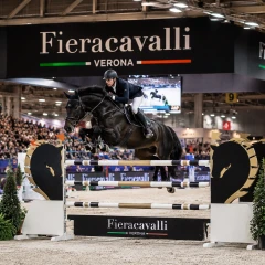 Allevatori e associazioni equestri