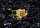 Previsione prezzi XRP e DOGE: SAVVY MINING ti aiuta a guadagnare facilmente un reddito stabile.