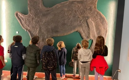 Museo dei fossili di Besano: visite guidate per grandi e piccini e aperture straordinarie ad aprile