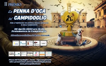 La Penna d'Oca del Campidoglio