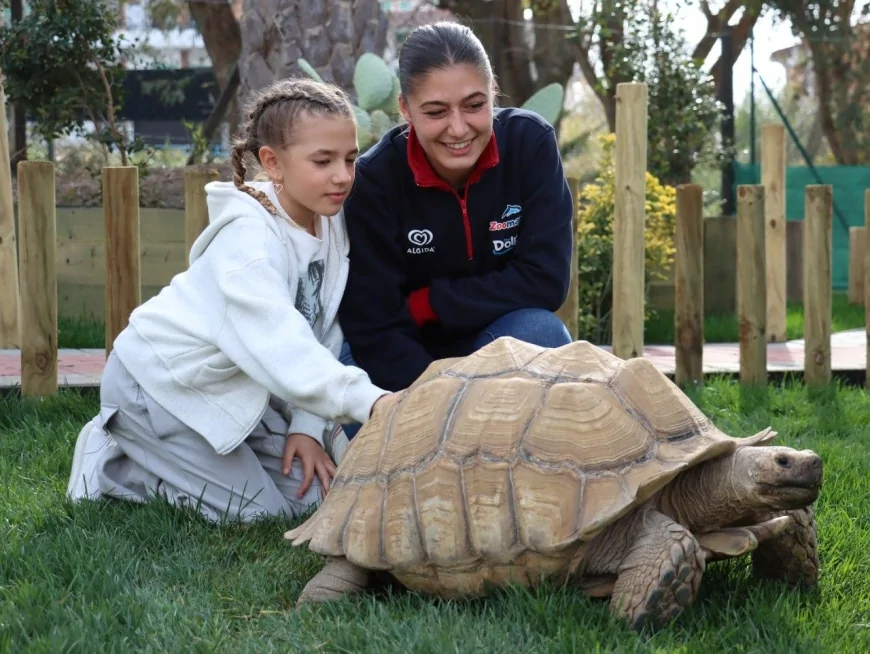 Oltre il divertimento: Zoomarine festeggia 20 anni di emozioni, novità e progetti sociali