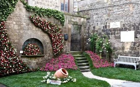 Viterbo in fiore: l’incanto di San Pellegrino tra storia e colori