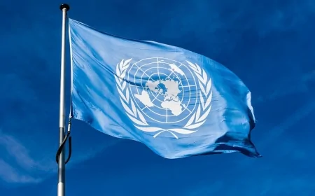 Il destino delle Nazioni Unite: chi gestirà i conflitti? – Conferenza ONU