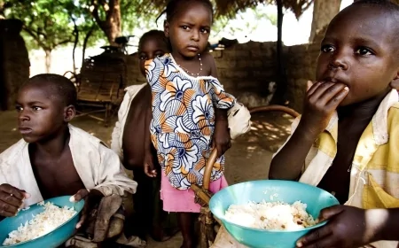 Rapporto globale sulle crisi alimentari 2025: 295,3 mln in grave insicurezza – Azione Contro la Fame