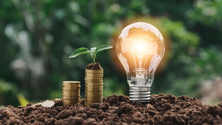 Risparmio Energetico: Come Ridurre i Consumi e Aiutare il Pianeta