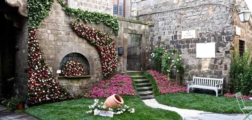 Viterbo in fiore: l’incanto di San Pellegrino tra storia e colori