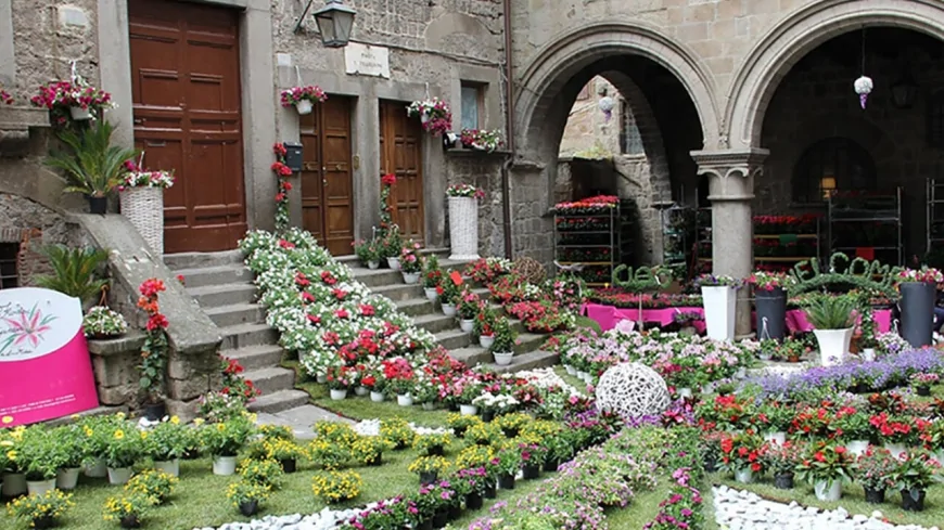 Viterbo in fiore: l’incanto di San Pellegrino tra storia e colori