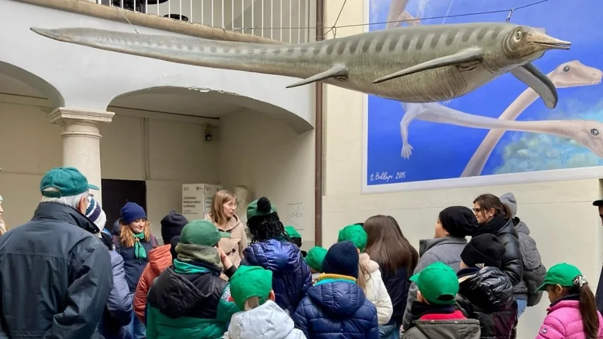 Giornata Internazionale dei Musei 2025: alla scoperta dei fossili del Triassico a Besano e Meride