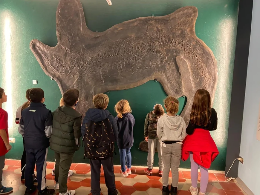 Giornata Internazionale dei Musei 2025: alla scoperta dei fossili del Triassico a Besano e Meride