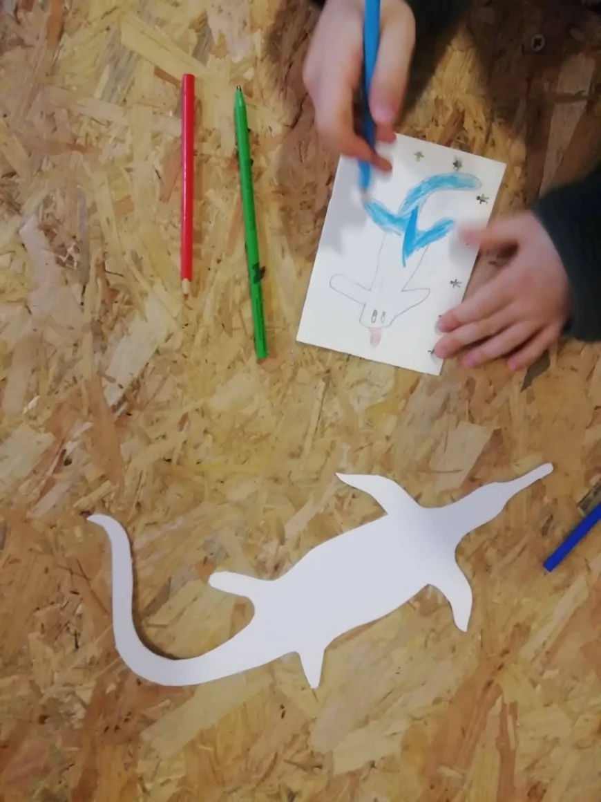 Giornata Internazionale dei Musei 2025: alla scoperta dei fossili del Triassico a Besano e Meride