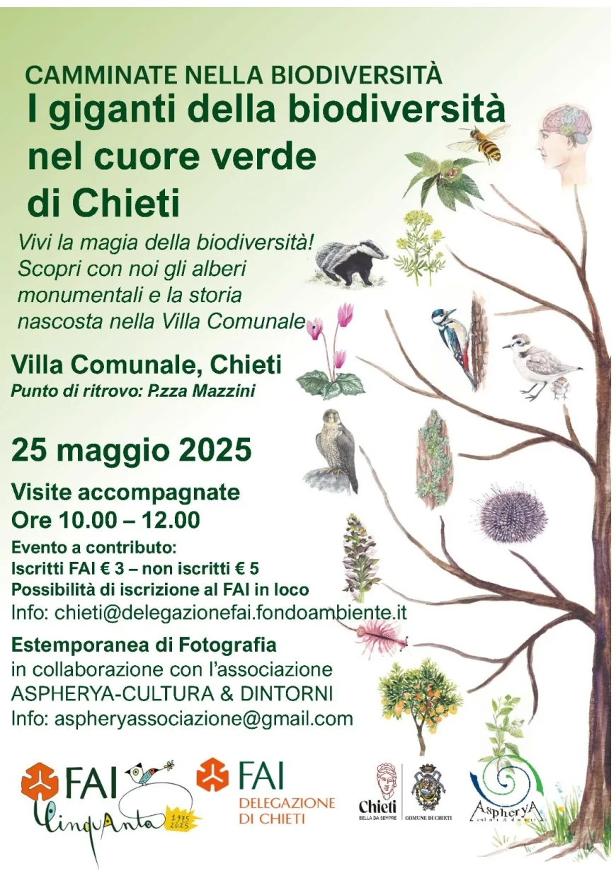 Chieti: concorso fotografico tra gli alberi monumentali