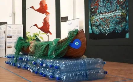 Plasticocene al Bioparco di Roma: arte e scienza per salvare il mare | 8 giugno – 8 dicembre 2025