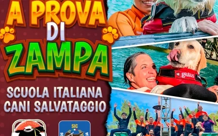 A Prova di Zampa: i cani eroi SICS a Zoomarine - 14-15 giugno
