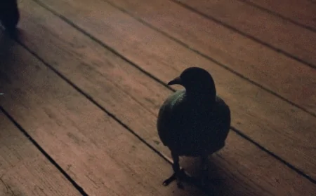 Marco Giongrandi pubblica 'The Doors and the Book': il nuovo singolo fuori il 27 giugno