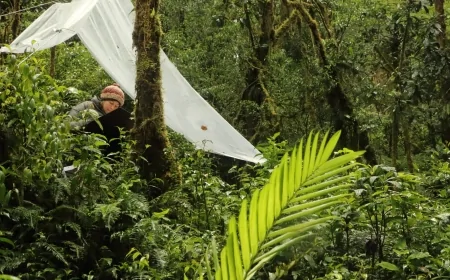 Haley Mellin al Museo Novecento: “Siamo Natura”, arte e ambiente a Firenze