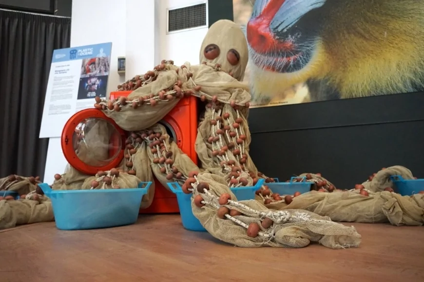 Plasticocene al Bioparco di Roma: arte e scienza per salvare il mare | 8 giugno – 8 dicembre 2025