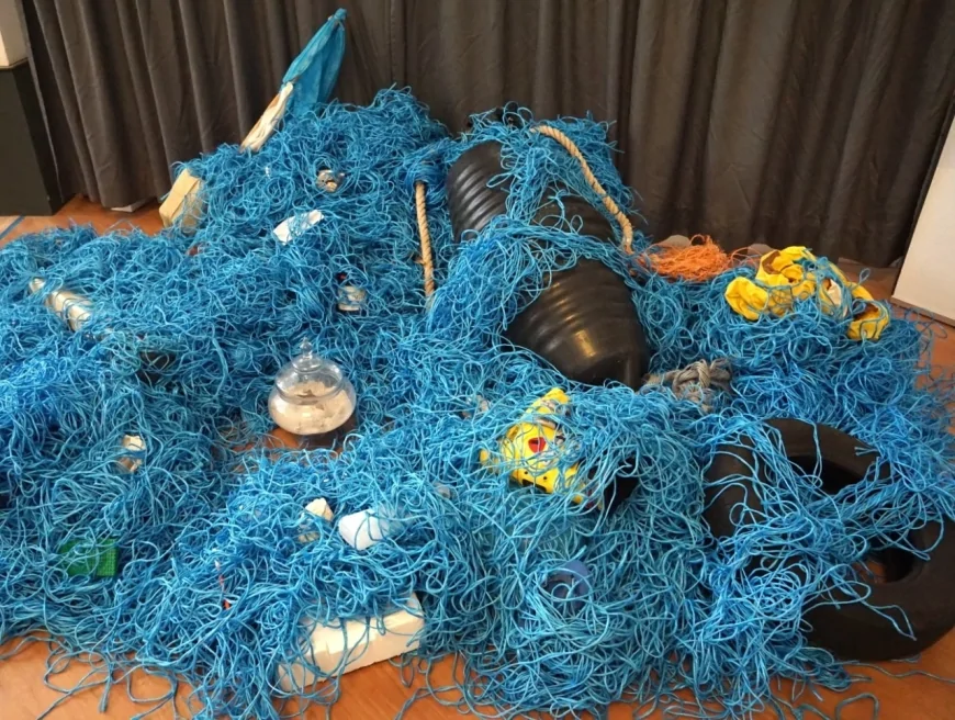 Plasticocene al Bioparco di Roma: arte e scienza per salvare il mare | 8 giugno – 8 dicembre 2025
