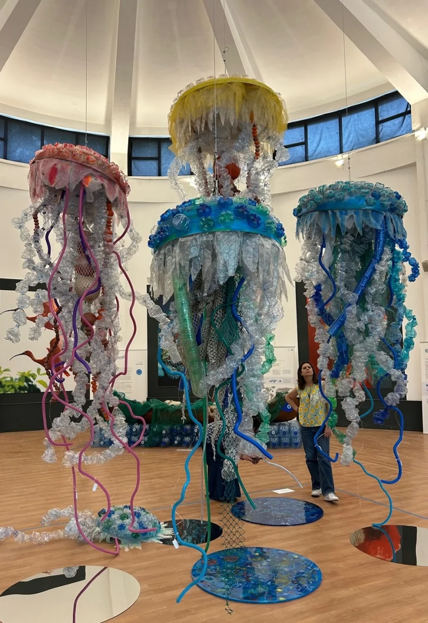 Plasticocene al Bioparco di Roma: arte e scienza per salvare il mare | 8 giugno – 8 dicembre 2025