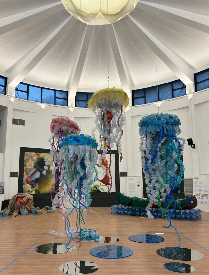 Plasticocene al Bioparco di Roma: arte e scienza per salvare il mare | 8 giugno – 8 dicembre 2025