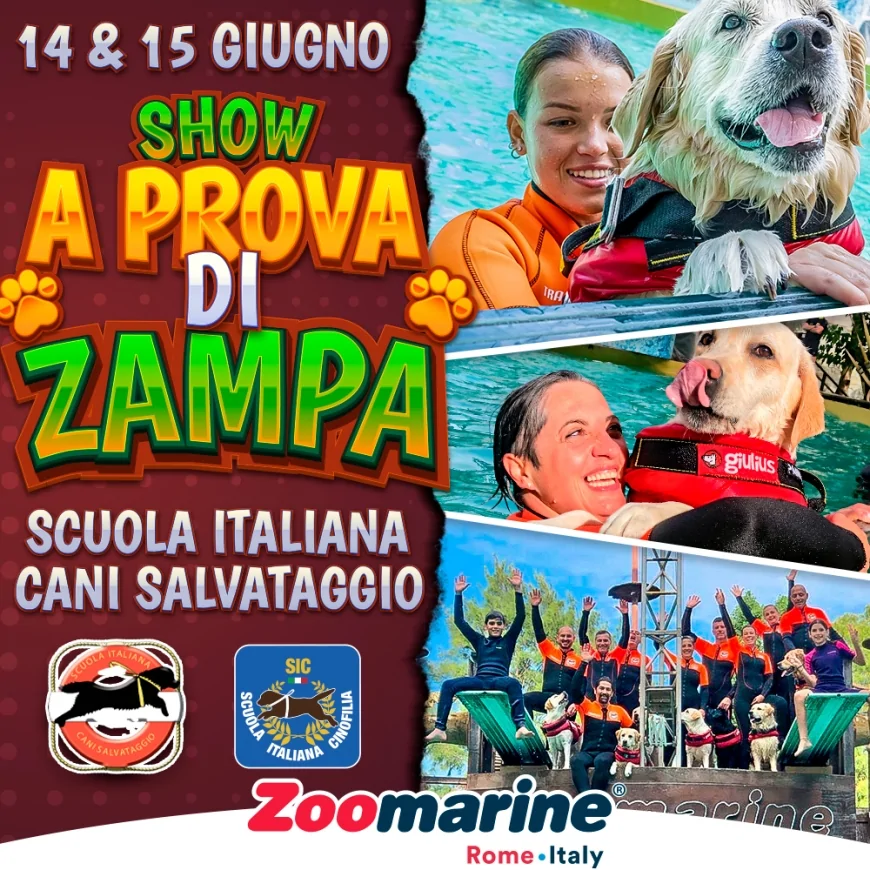 A Prova di Zampa: i cani eroi SICS a Zoomarine - 14-15 giugno
