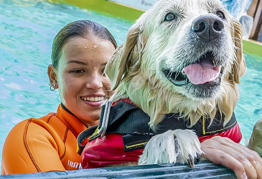 A Prova di Zampa: i cani eroi SICS a Zoomarine - 14-15 giugno