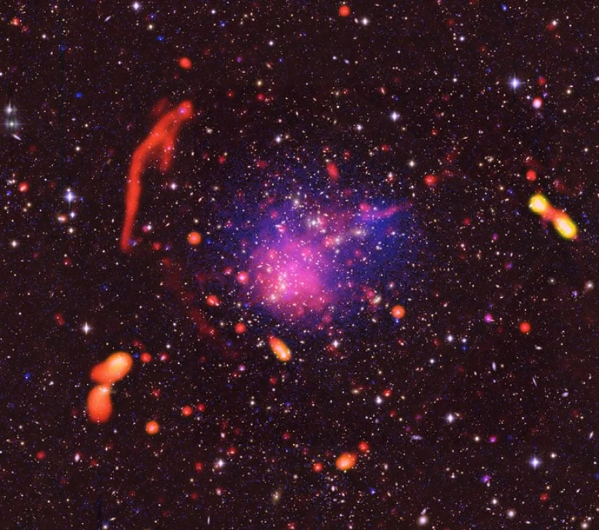 Scoperta una struttura cosmica da record in un ammasso di galassie