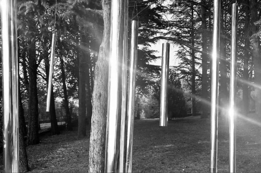 Teatri del suono / Aperture: presentata la VI edizione a Trieste