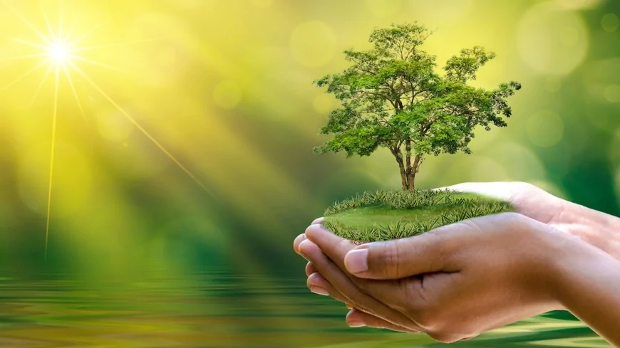 Montefiascone ospita il Festival dell’Ecologia Integrale | 19‑22 Giugno 2025