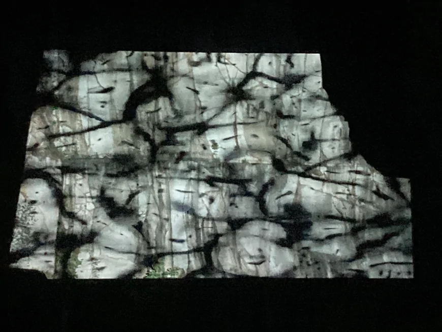 Polifonia Mediterranea: passeggiata e proiezione multimediale tra le cave di Aurisina