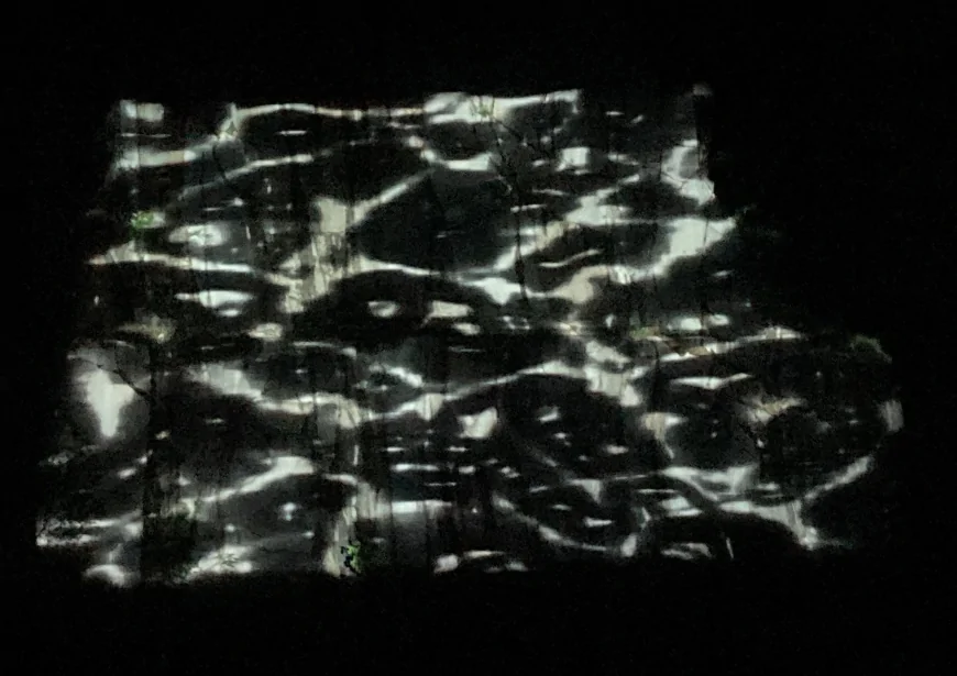 Polifonia Mediterranea: passeggiata e proiezione multimediale tra le cave di Aurisina