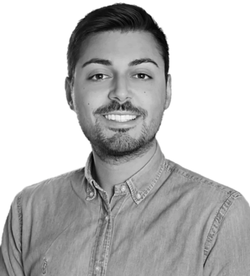 Progetto Pandora: modellazione in-silico per la chirurgia degli aneurismi aortici