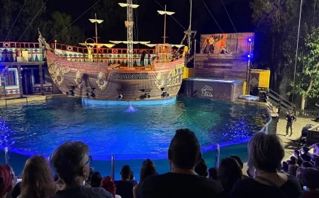 Zoomarine Night: pirati, show e apertura serale dal 5 luglio 2025