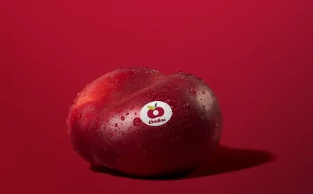 Ondine®: la nettarina snack lancia “Snack the Summer”