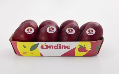 Ondine®, la nettarina must-have dell’estate 2025