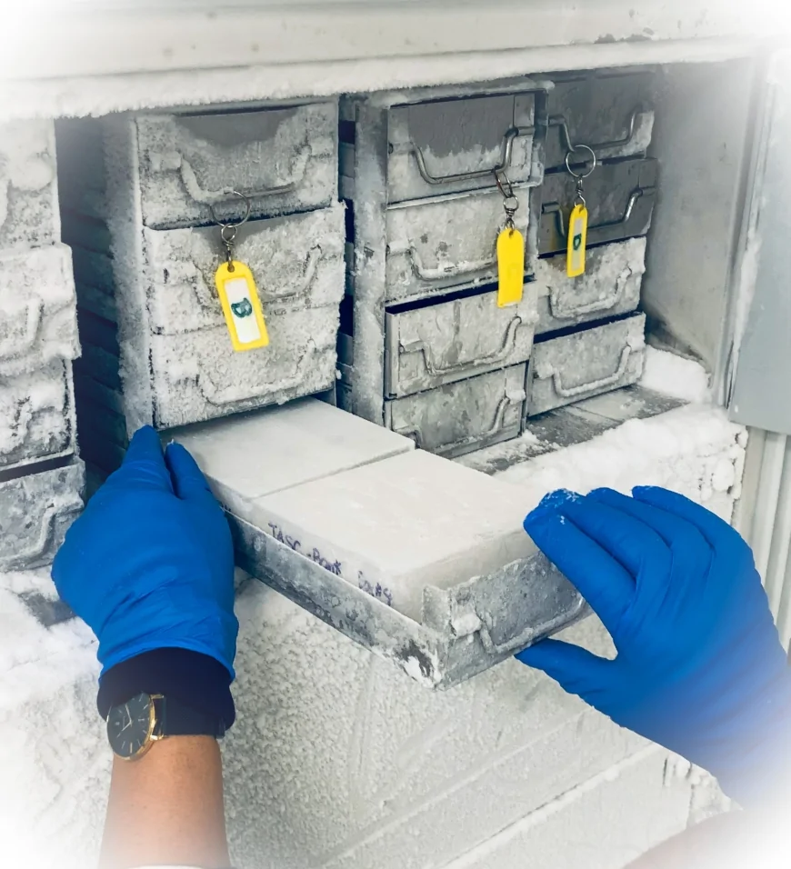 Il biobanking: risorsa strategica per ricerca e salute pubblica