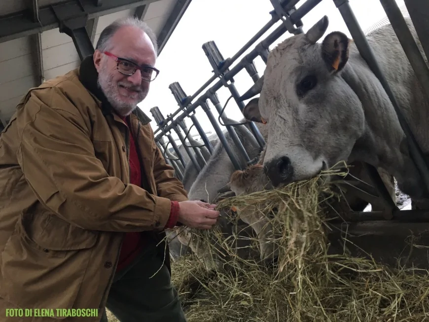 Monastero Bormida: Fiera Bovina e Manzo allo Spiedo il 27 luglio