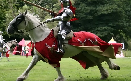 San Giovanni in Fiore, magia medievale con “Le Terre di Alis”: successo per il primo evento fantasy in Calabria