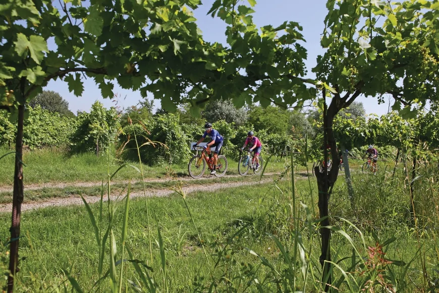 Gravel Maxxis 2025: circuito off road tra Bettola e le Strade Bianche del Garda