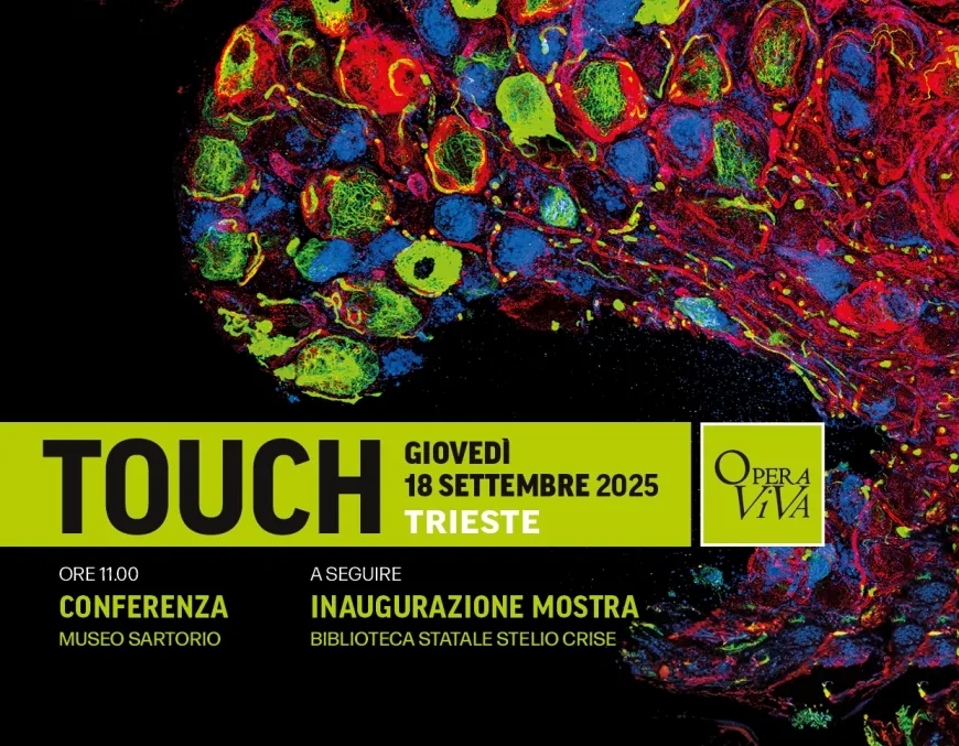 Mostra Touch a Trieste | 21ª edizione di “Questa Volta Metti in Scena”