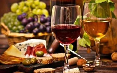 Alla scoperta del vino calabrese: viaggio tra gusto e tradizione