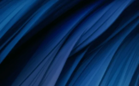 Linee guida USA sullo scambio di informazioni transfrontaliere antiriciclaggio