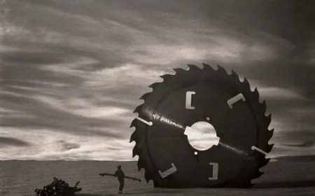 Platform – Mostra fotografica di Enzo Tedeschi e Fondo Zanussi/Electrolux | Gorizia 2025