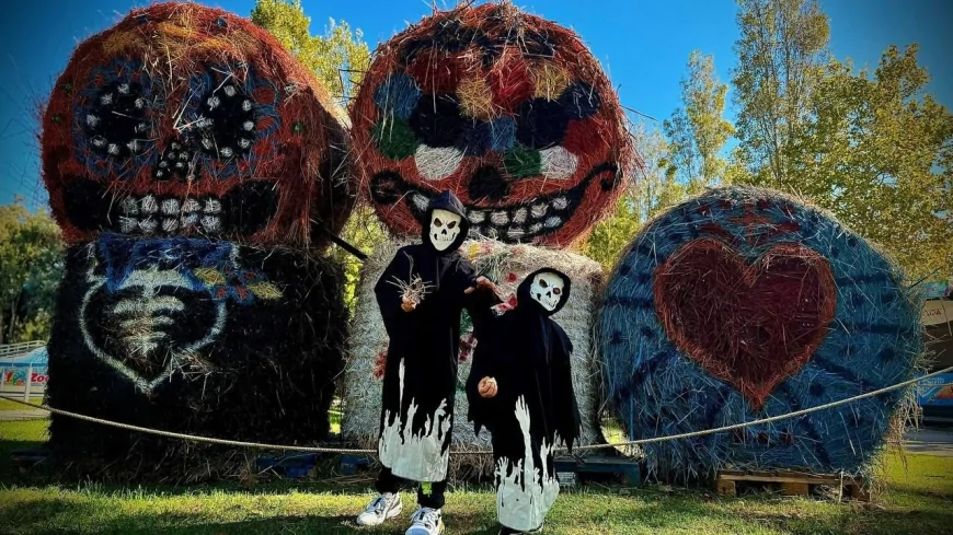 Halloween 2025 a Zoomarine: eventi, spettacoli e tributo a Mercoledì Addams
