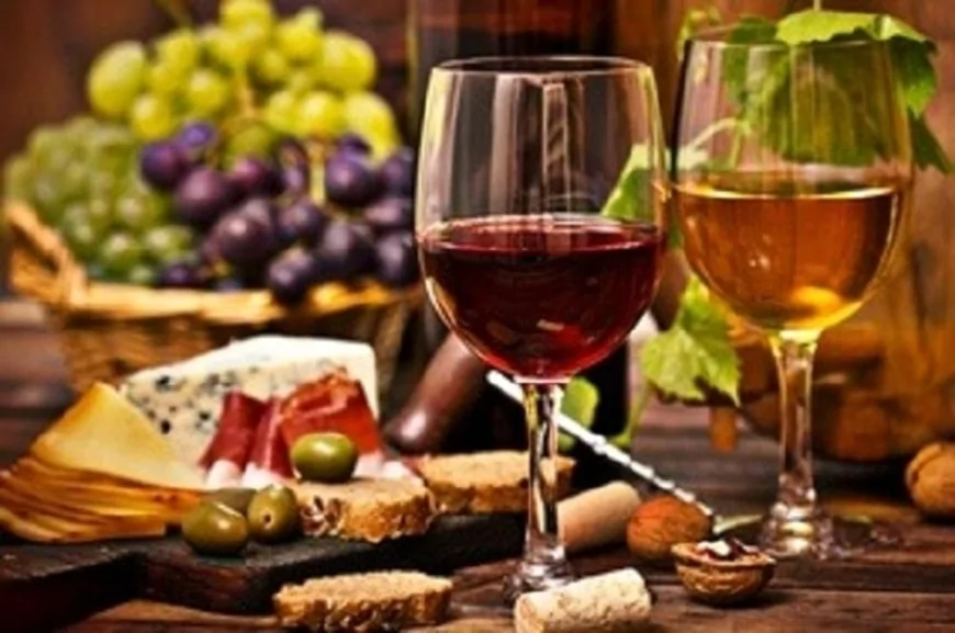 Alla scoperta del vino calabrese: viaggio tra gusto e tradizione