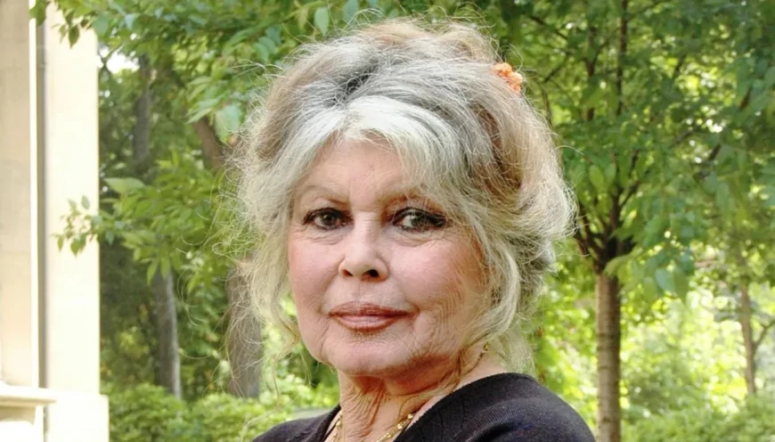 Brigitte Bardot operata: le condizioni di salute dell’attrice destano preoccupazione